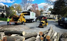 Best Utility Line Clearance  in Castlewood, VA